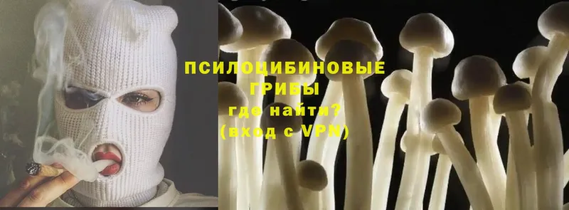 это официальный сайт  Руза  Псилоцибиновые грибы Magic Shrooms  закладки 